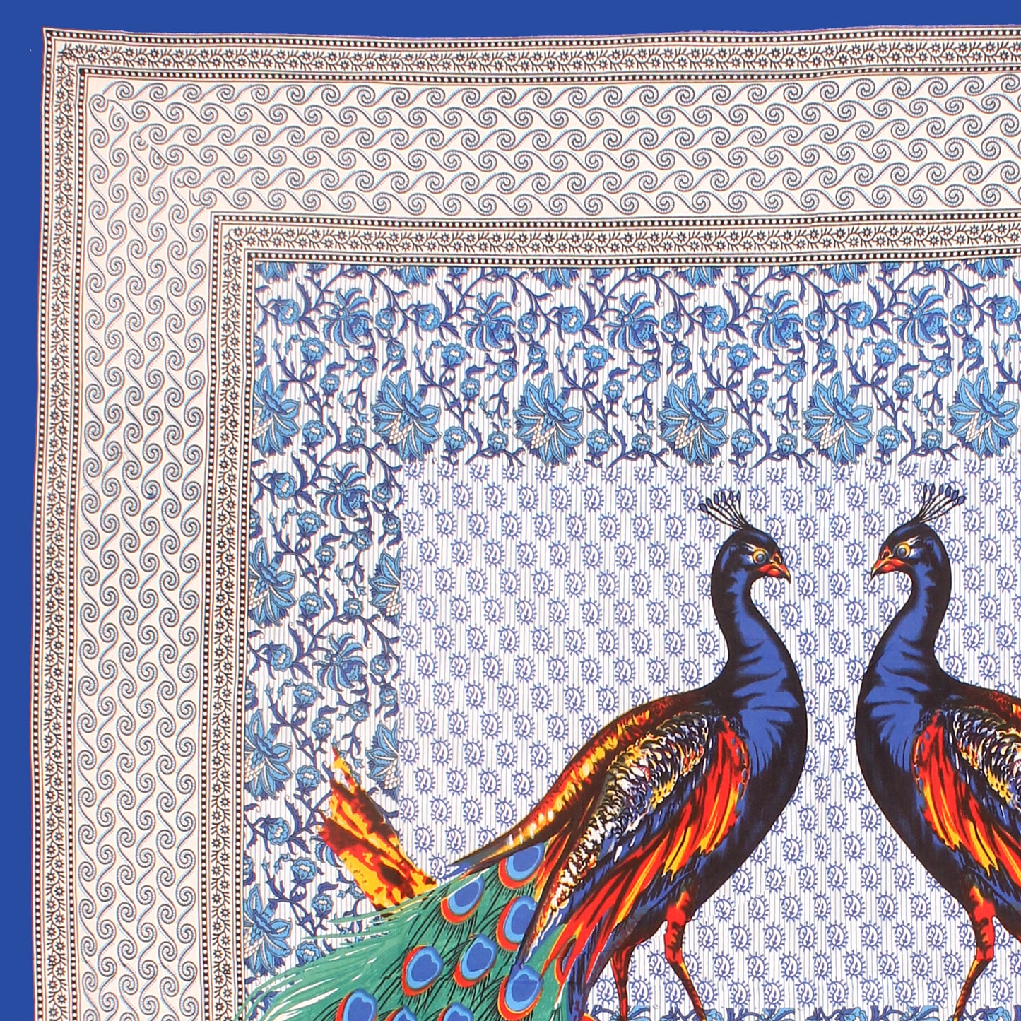 Trendy Bedsheet 100% Cotton Queen Size Bedsheet With 2 Pillow Cover Set