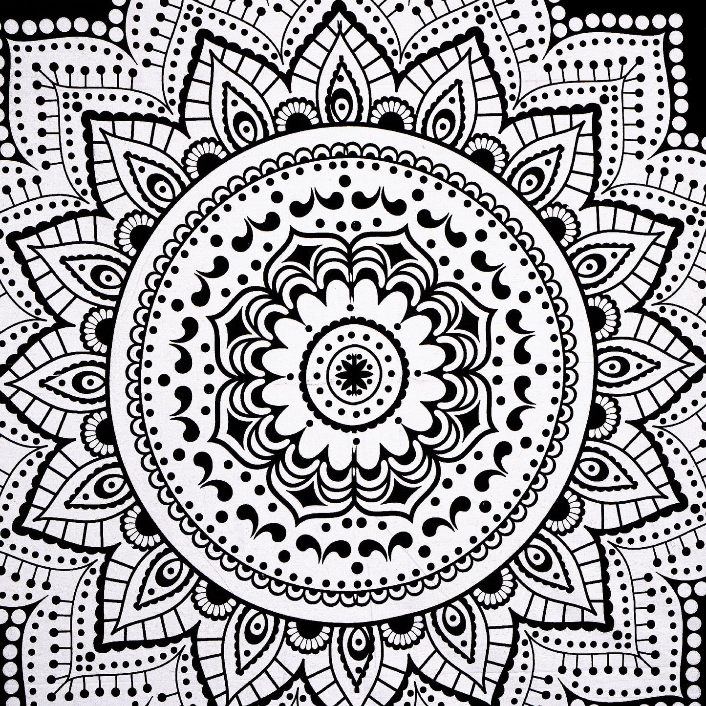 Jaipuri 100% Cotton Double Size Bedsheet with 2 Pillow Covers ( Black , 280 TC ) JAIPUR PRINTS