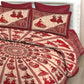 New collection Doll And Teda Mor 100% Cotton King Size Bedsheet with 2 Pillow Cover Set